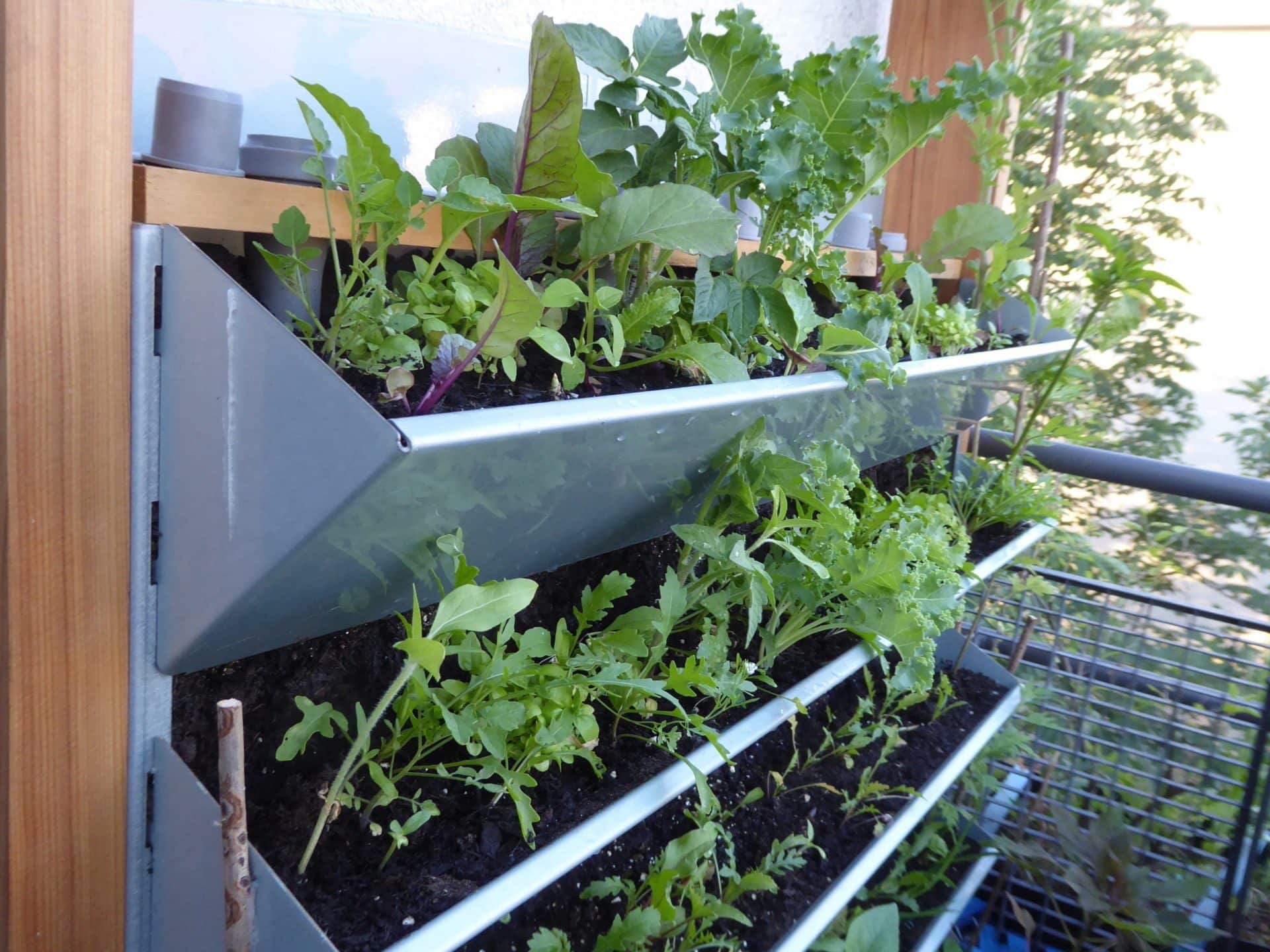 Vertikales Gärtnern 2026